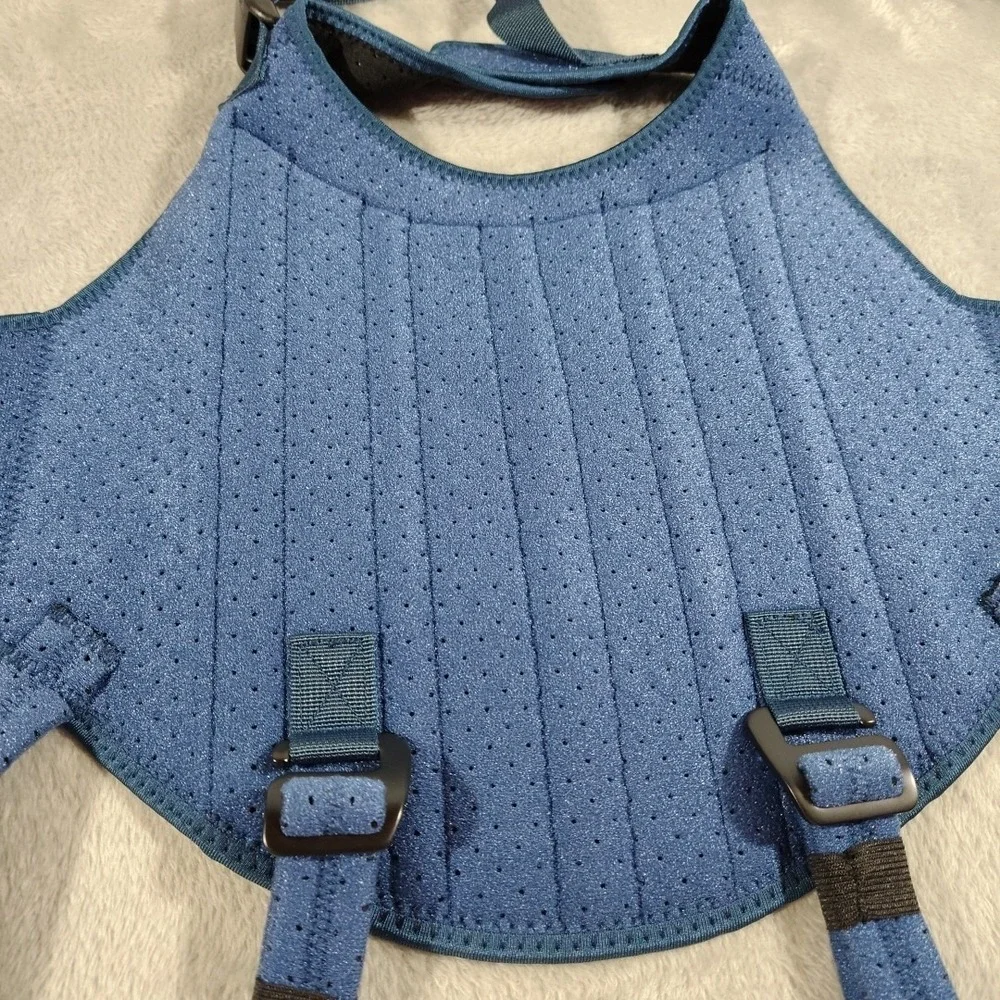 Haggemi Dog Back Brace Spine Support Harness for IVDD and Arthritis Relief Small